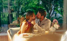 Treelodgy, The Tree House